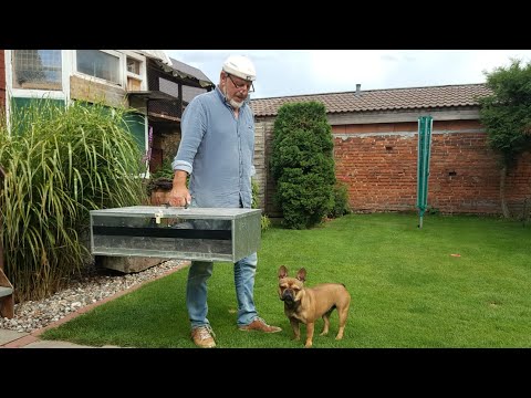 Erste Trainingsflüge haben begonnen.