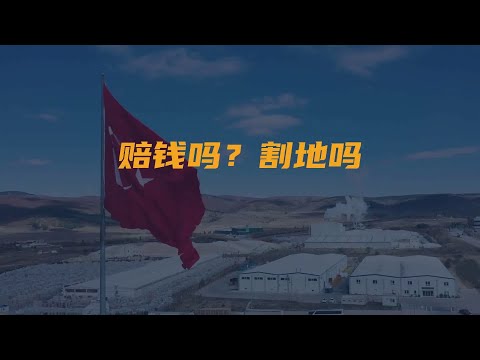 “赔钱吗？割地吗？”1925年，段祺瑞一听法国...