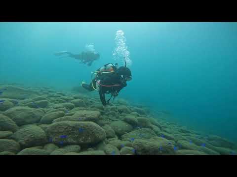 【ダイビング】井田ビーチwith Vietnamese diver🇻🇳