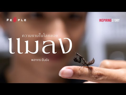 ‘นักเลี้ยงแมลง’ ผู้หลงใหลในความงามของสิ่งมีชีวิตหกขา | Inspiring Story