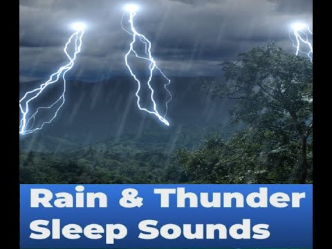 Rain forest thunder & rain sleep sounds youtube -  Rain forest thunder & rain sleep sounds free