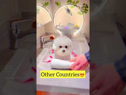 Other countries vs india (Funny)