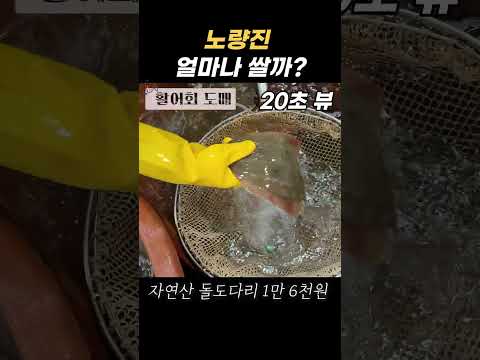 노량진수산시장 시세(활어회 도소매 가격 정보)