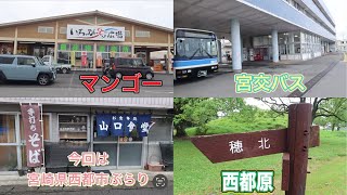 今回は宮崎県西都市にマンゴーを買って街をぶらぶらして来たよ✋ ご覧下さい