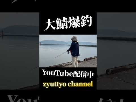 【北海道】【釣り】大サバ爆釣！#shorts #fishing #北海道釣り#投げ釣り #zyuttyo channel