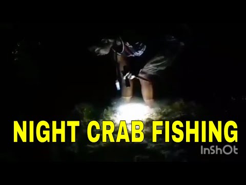 Vlog #1006 Night Crab Fishing At Bahamas  Island 🏝️