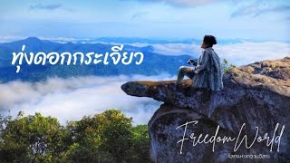 🌸|ทุ่งดอกกระเจียว|🛣️|ผาสุดแผ่นดิน|⛰️|ลานหินงาม🏞️ อำเภอเทพสถิต ชัยภูมิ |2567|Freedomworld📸🌈🌎🏞️✨