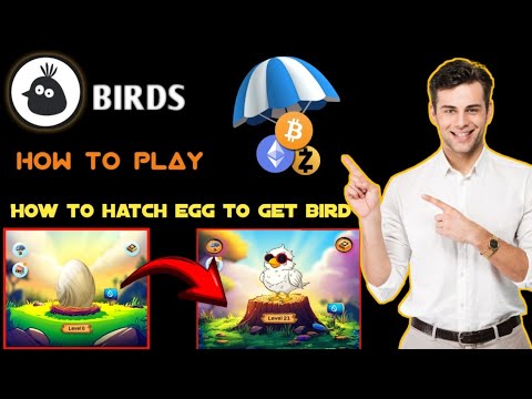 How to hatch egg and get bird in bird's mini app|| listing in December ✅ || Birds update