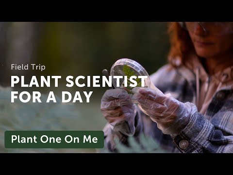 A Day in the Life of a PLANT SCIENTIST — Ep. 354