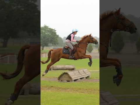 Our first XC 🥹 #equestrian