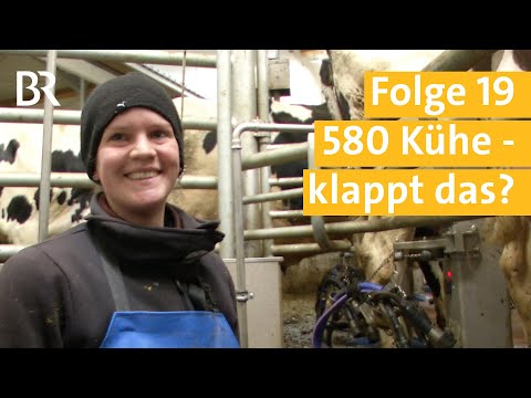 Stallgeschichten Folge 19: 580 Kühe – gigantischer Tierwohl-Stall ist in Betrieb | Unser Land | BR