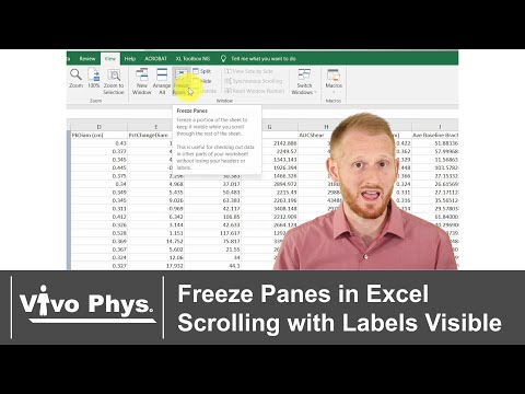 Freeze Panes in Excel – Keep Labels Visible While Scrolling