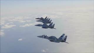 JASDF F-15J dogfight training with F-15DJ aggressors