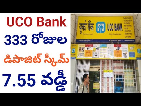 uco bank 333 plan || fd interest rates uco bank || fd rate of uco bank