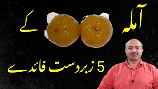 Amla Health Benefits  | Amla Kay Fayde | Indian Gooseberry | How to make Amla Juice | dr afzal