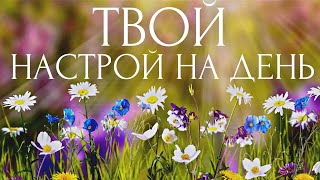 УТРЕННИЕ АФФИРМАЦИИ 🌼 ПОЗИТИВ на весь день! НАСТРОЙ и мотивация КАЖДЫЙ ДЕНЬ