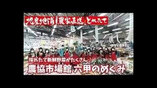 【六甲のめぐみ】旬の特産品紹介します！【神戸市西区の大型直売所】