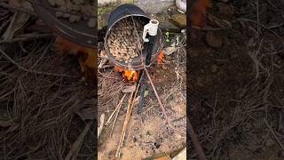 Easy campfire peanut roasting