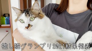 推し猫グランプリ2020、運命の結果発表!!!