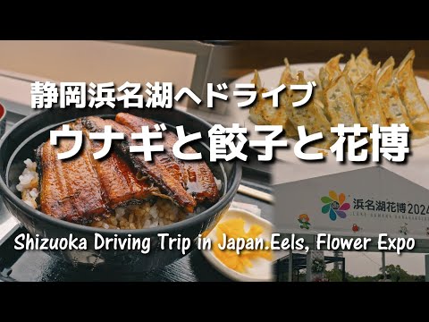 Shizuoka Driving Trip in Japan.Eels, Flower Expo, and Dumplings at Lake Hamana