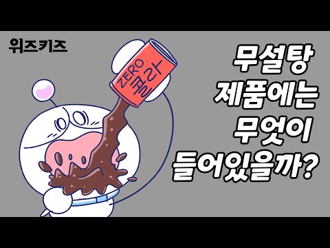 설탕과 무설탕, 어떤 차이가 있을까? | 위즈키즈