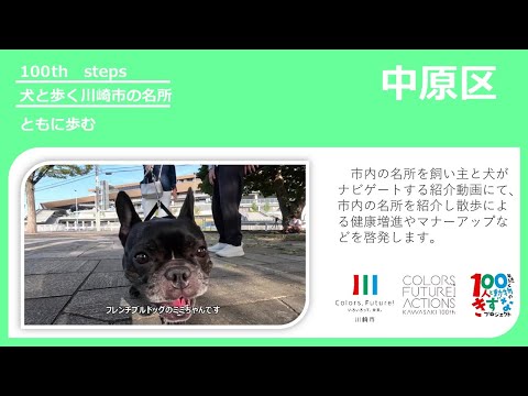 【中原区版】犬と歩く川崎市の名所