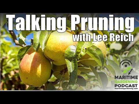 Talking Pruning with Lee Reich