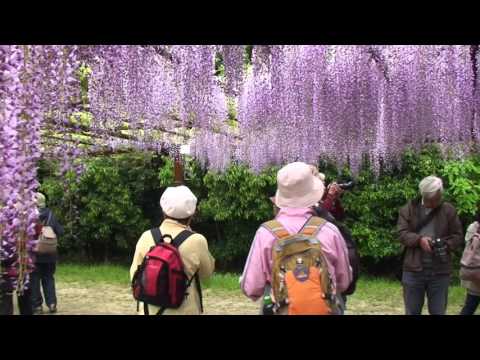 和気藤公園　３０秒ビデオ