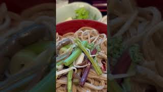 【出雲そば】三色割子蕎麦定食#shorts