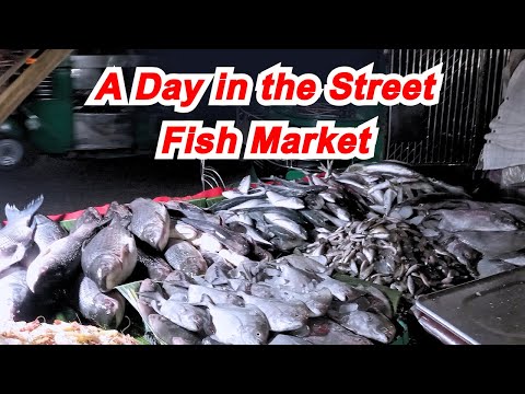 Fish Market Insiders Don't Want You to Know THIS! | Street Fish Market