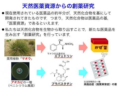 【慶應薬学部研究室紹介】天然医薬資源学講座【第17回芝共薬祭】