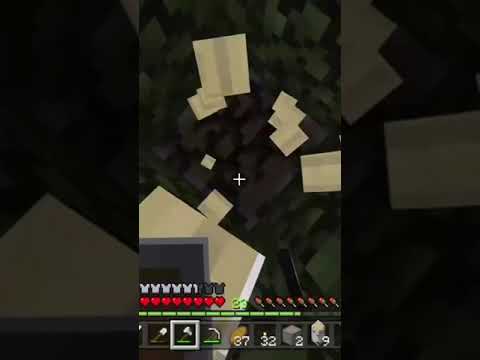 51 seconds of me chopping wood in Minecraft (part 2)