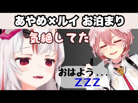 お嬢とルイ姉のお泊まり【ホロライブ切り抜き/百鬼あやめ/鷹嶺ルイ/おにかん】