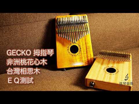 弦琴音樂 | GECKO 接電試音 | 單板 非洲桃花心木、台灣相思木 | 卡林巴 拇指琴