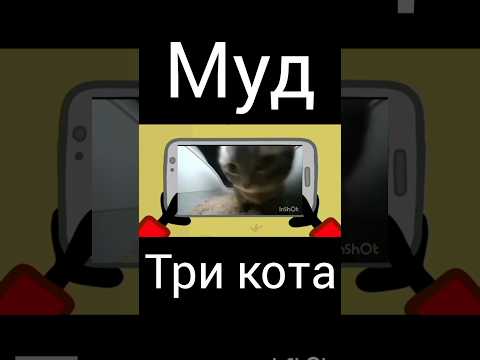 муд три кота "телефон"