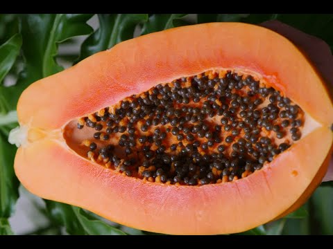 பப்பாளி பழத்தில் உள்ள நன்மைகள் / Health Benefits of Papaya