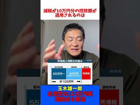 自民党 123万円案（103万円の壁 引き上げ） 年間5千円～2万円減税 / 玉木雄一郎 たまきチャンネル 【切抜】