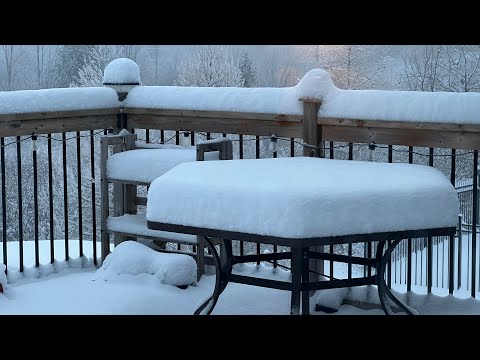 🇨🇦 雪已经下好了，就差你们来助兴