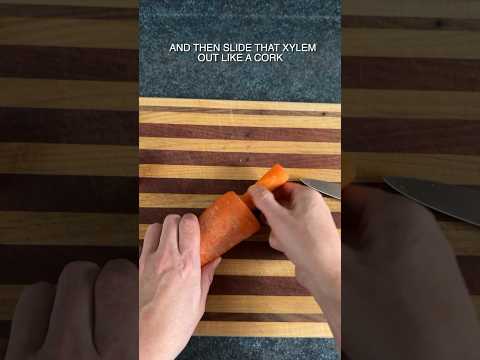 Carrot Disassembly Hack #carrot