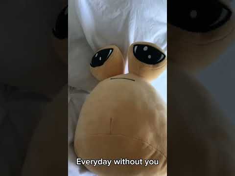 Everyday without you #sadpou #plushtoys