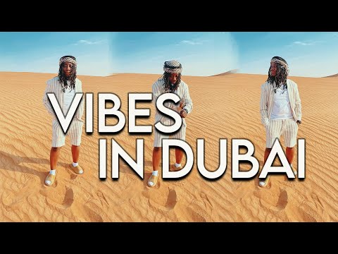 VIBES IN DUBAI | SAFARI CRAZINESS