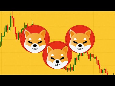 Shiba Inu Price to Drop More and Why the Price Keeps Dropping?