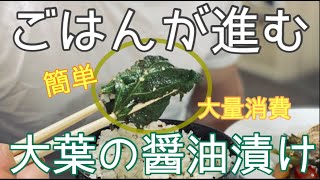 『しその大量消費』ご飯が進む！やみつき大葉の醤油漬け☆彡