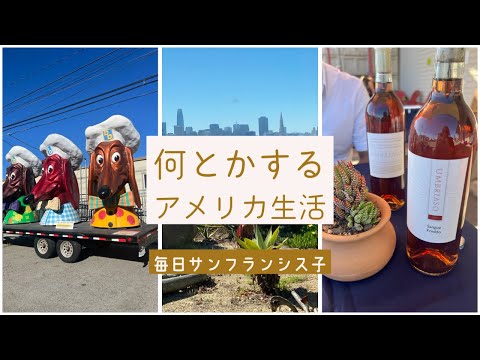 強運と思われがちな私のアメリカ生活　【サンフランシスコ】