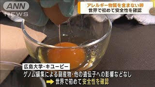 アレルギー物質を含まない卵　世界初 安全性を確認(2023年4月27日)