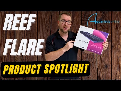 Reef Flare Pro - Product Spotlight