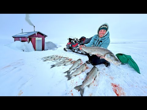 6 Days Camping on the Arctic Ocean - Sheefish Catch & Cook