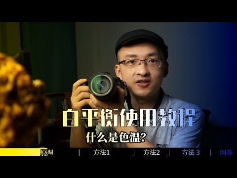 什么是色温 白平衡？ 白平衡有什么用？摄影入门教程 摄影干货教学