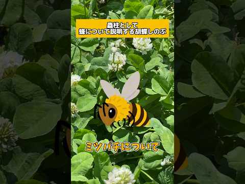 【豆知識】蟲柱として虫について説明してくれる胡蝶しのぶ🦋‪ (ミツバチ編) 【生き物系YouTube 胡蝶しのぶ】