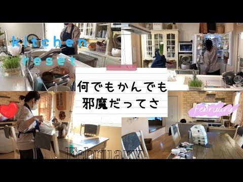 【小学生中学生ママ】日曜日の家事動画✨口うるさい夫👹/キッチンリセット/